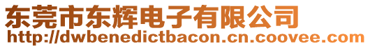 東莞市東輝電子有限公司