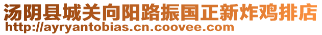 湯陰縣城關(guān)向陽路振國(guó)正新炸雞排店