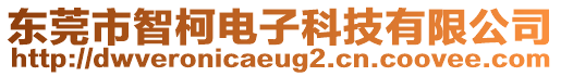 東莞市智柯電子科技有限公司