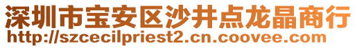 深圳市寶安區(qū)沙井點(diǎn)龍晶商行