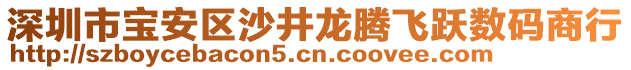 深圳市寶安區(qū)沙井龍騰飛躍數(shù)碼商行