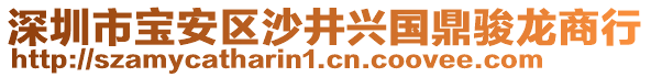 深圳市寶安區(qū)沙井興國鼎駿龍商行