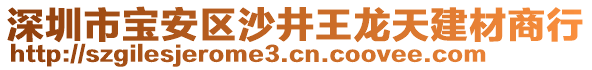深圳市寶安區(qū)沙井王龍?zhí)旖ú纳绦? style=