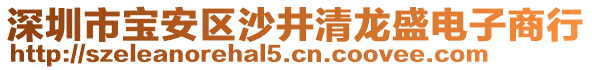 深圳市寶安區沙井清龍盛電子商行