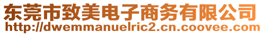 東莞市致美電子商務(wù)有限公司