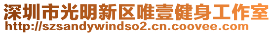 深圳市光明新區(qū)唯壹健身工作室