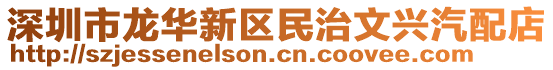 深圳市龍華新區(qū)民治文興汽配店