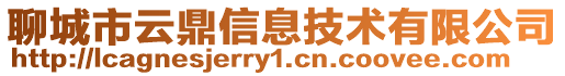 聊城市云鼎信息技術有限公司