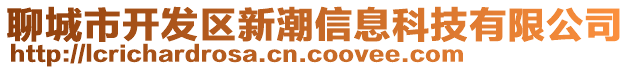 聊城市開發區新潮信息科技有限公司