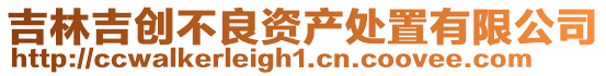 吉林吉創(chuàng)不良資產(chǎn)處置有限公司