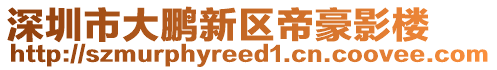 深圳市大鵬新區(qū)帝豪影樓