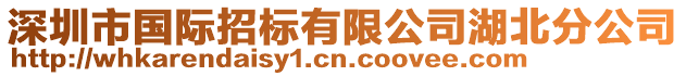 深圳市國(guó)際招標(biāo)有限公司湖北分公司