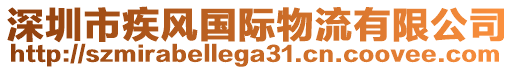 深圳市疾風(fēng)國際物流有限公司