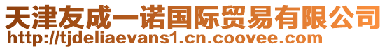 天津友成一諾國(guó)際貿(mào)易有限公司