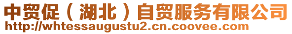 中貿(mào)促（湖北）自貿(mào)服務(wù)有限公司