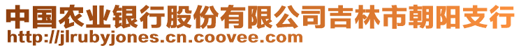 中國農(nóng)業(yè)銀行股份有限公司吉林市朝陽支行