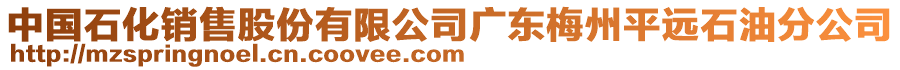 中國石化銷售股份有限公司廣東梅州平遠(yuǎn)石油分公司