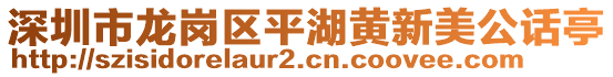 深圳市龍崗區(qū)平湖黃新美公話亭