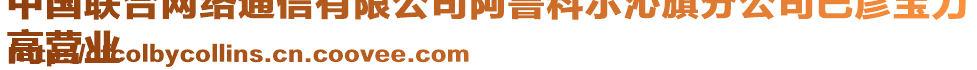 中國(guó)聯(lián)合網(wǎng)絡(luò)通信有限公司阿魯科爾沁旗分公司巴彥寶力
高營(yíng)業(yè)