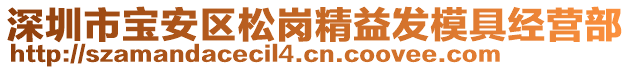 深圳市寶安區(qū)松崗精益發(fā)模具經營部