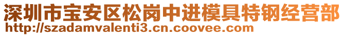 深圳市寶安區(qū)松崗中進(jìn)模具特鋼經(jīng)營(yíng)部