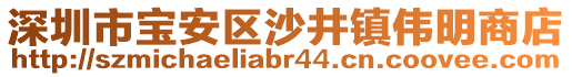 深圳市寶安區(qū)沙井鎮(zhèn)偉明商店