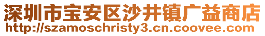 深圳市寶安區(qū)沙井鎮(zhèn)廣益商店