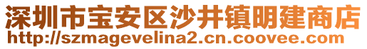 深圳市寶安區(qū)沙井鎮(zhèn)明建商店