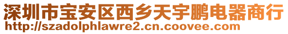 深圳市寶安區(qū)西鄉(xiāng)天宇鵬電器商行