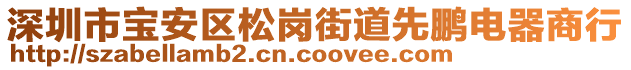 深圳市寶安區(qū)松崗街道先鵬電器商行