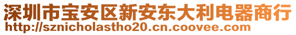 深圳市寶安區(qū)新安東大利電器商行