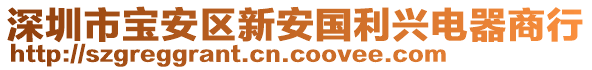 深圳市寶安區新安國利興電器商行