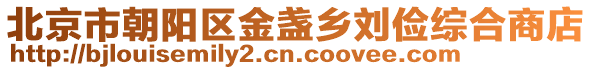 北京市朝陽區金盞鄉劉儉綜合商店