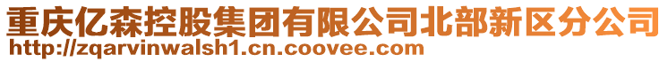 重慶億森控股集團有限公司北部新區分公司
