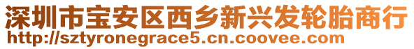 深圳市寶安區(qū)西鄉(xiāng)新興發(fā)輪胎商行