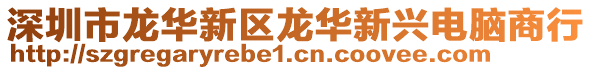 深圳市龍華新區(qū)龍華新興電腦商行