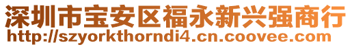 深圳市寶安區福永新興強商行