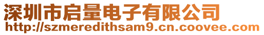 深圳市啟量電子有限公司