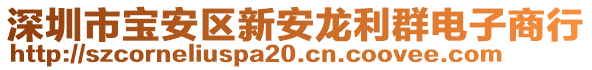 深圳市寶安區(qū)新安龍利群電子商行