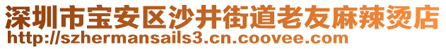 深圳市寶安區(qū)沙井街道老友麻辣燙店