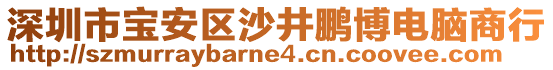 深圳市寶安區(qū)沙井鵬博電腦商行