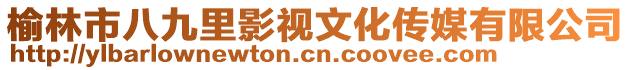 榆林市八九里影視文化傳媒有限公司