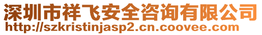 深圳市祥飛安全咨詢有限公司