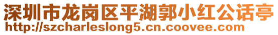 深圳市龍崗區(qū)平湖郭小紅公話亭