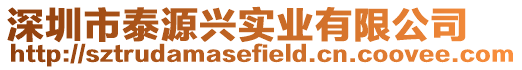 深圳市泰源興實(shí)業(yè)有限公司