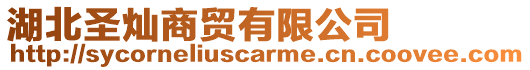 湖北圣燦商貿有限公司