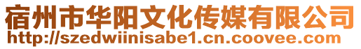 宿州市華陽文化傳媒有限公司