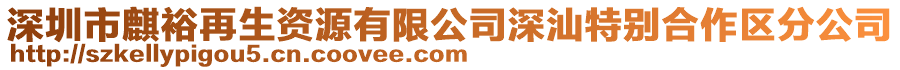 深圳市麒裕再生資源有限公司深汕特別合作區分公司