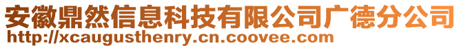 安徽鼎然信息科技有限公司廣德分公司