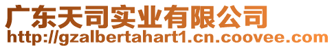 廣東天司實業有限公司
